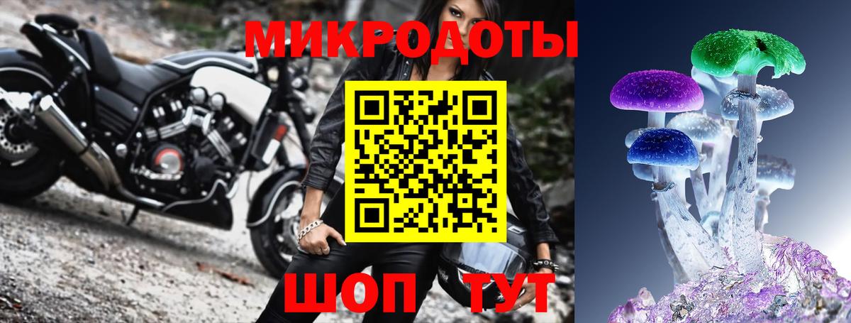 Галлюциногенные грибы ЛСД Зима
