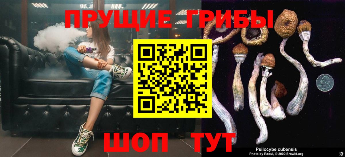 Зима  купить закладку  Вход с VPN  Псилоцибиновые грибы Cubensis  Псилоцибиновые грибы Magic Shrooms 